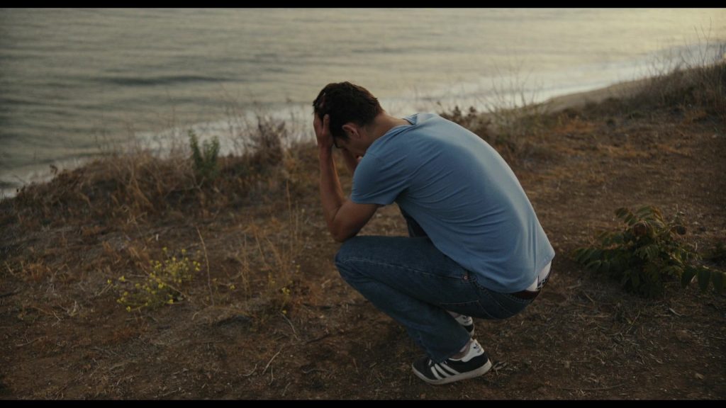 Adidas Men's Sneakers in First Love (2022) (Image 1)
