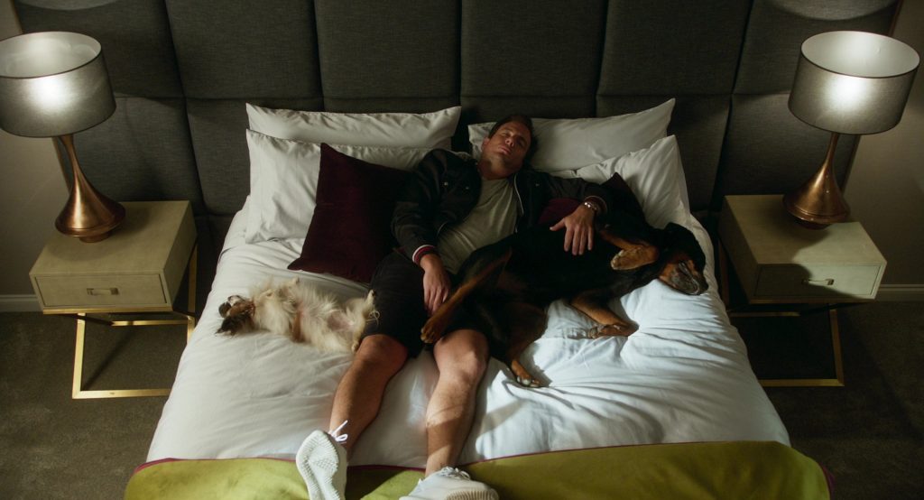 Adidas Shoes Worn by Will Arnett in Show Dogs (2018) (Image 5)