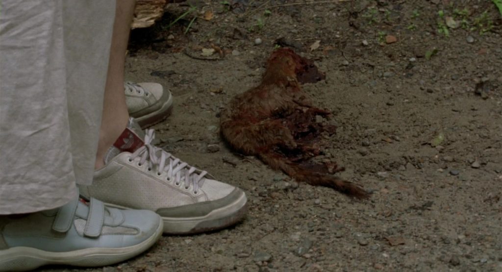 Adidas Shoes in Wrong Turn (2003) (Image 1)