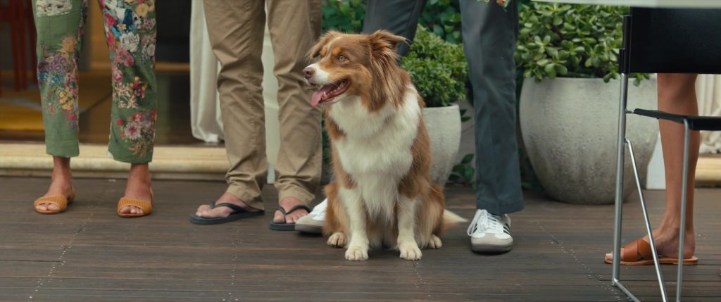 Adidas Sneakers Worn by GaTa as Pete in Anyone But You (2023) (Image 3)