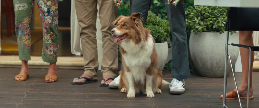 Adidas Sneakers Worn by GaTa as Pete in Anyone But You (2023) (Image 4)