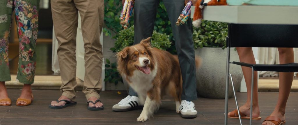 Adidas Sneakers Worn by GaTa as Pete in Anyone But You (2023) (Image 5)