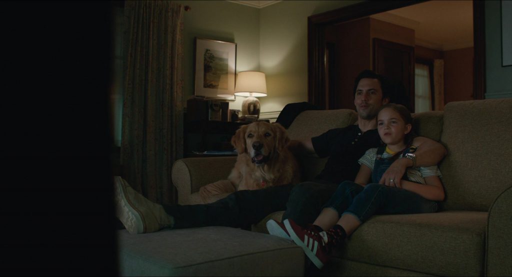 Adidas Sneakers Worn by Ryan Kiera Armstrong in The Art of Racing in the Rain (2019) (Image 1)
