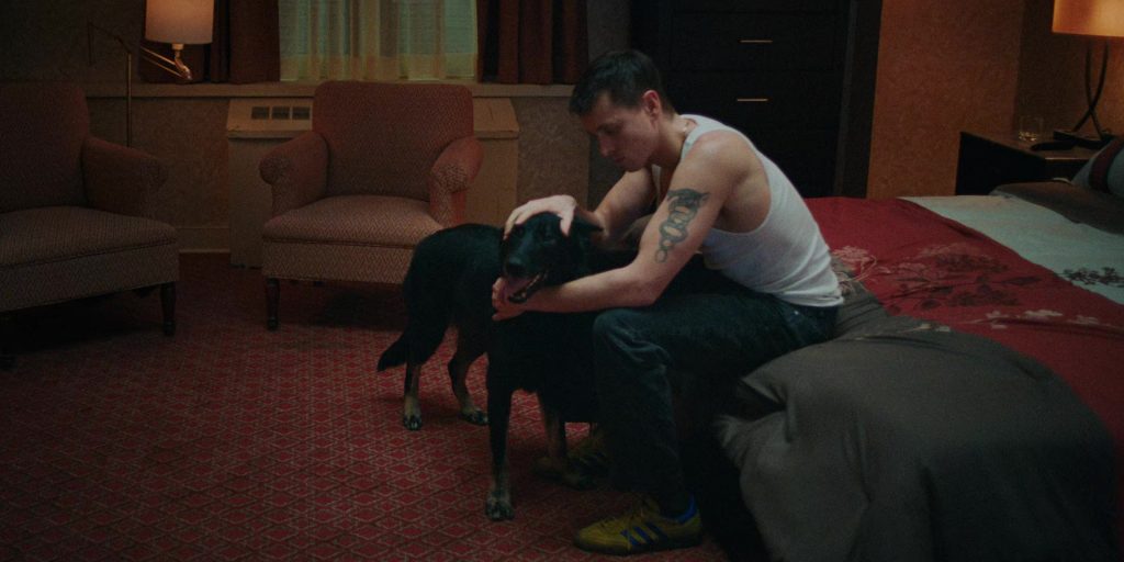 Adidas Sneakers in Babygirl (2024) (Image 15)