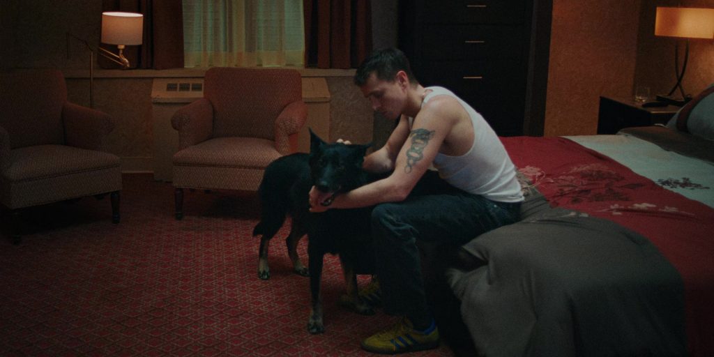 Adidas Sneakers in Babygirl (2024) (Image 16)