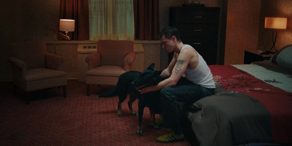 Adidas Sneakers in Babygirl (2024) (Image 18)