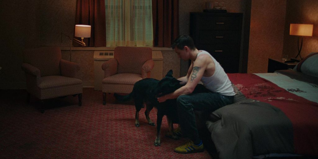Adidas Sneakers in Babygirl (2024) (Image 19)