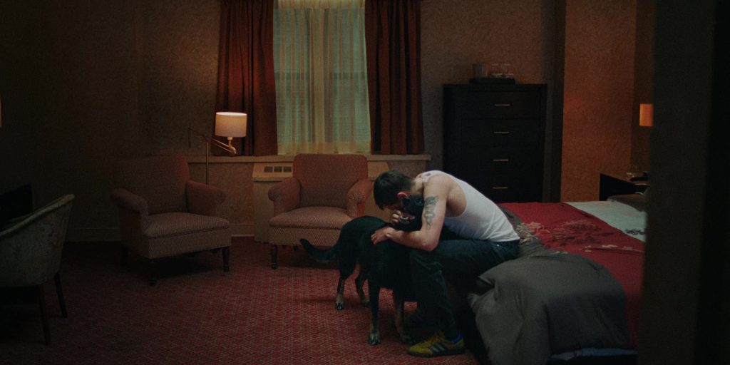 Adidas Sneakers in Babygirl (2024) (Image 22)