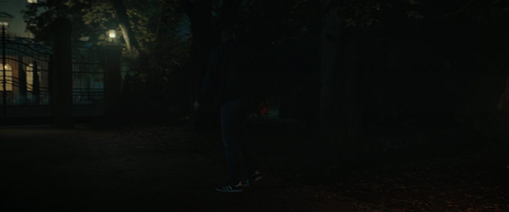 Adidas Sneakers in Tarot (2024) (Image 2)