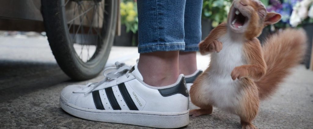Adidas Superstar Women's Sneakers in Peter Rabbit 2 - The Runaway (2021) (Image 1)