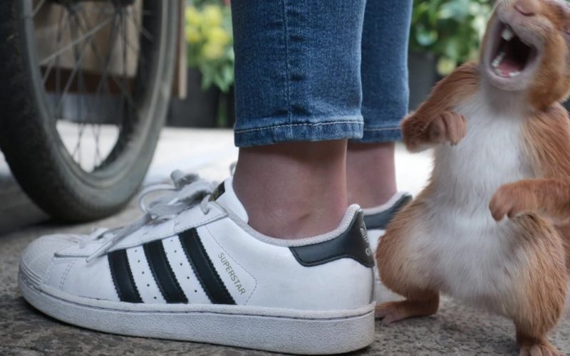 Adidas Superstar Women's Sneakers in Peter Rabbit 2 - The Runaway (2021) (Image 1)