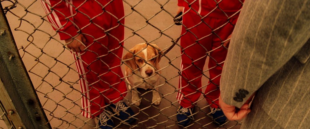 Adidas Tracksuits And Puma Shoes Worn by Grant Rosenmeyer (Ari Tenenbaum) and Jonah Meyerson (Uzi Tenenbaum) in The Royal Tenenbaums (2001) (Image 19)