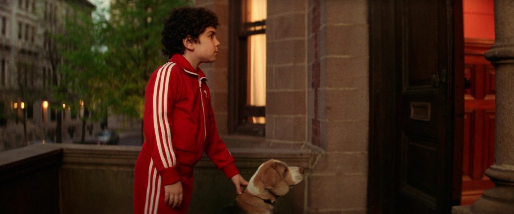 Adidas Tracksuits And Puma Shoes Worn by Grant Rosenmeyer (Ari Tenenbaum) and Jonah Meyerson (Uzi Tenenbaum) in The Royal Tenenbaums (2001) (Image 24)