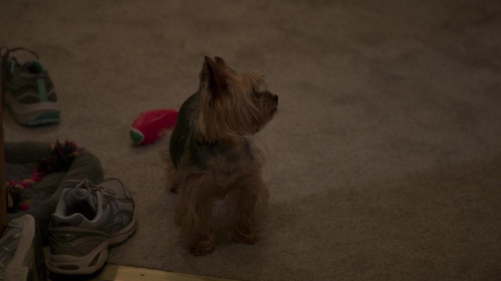 Asics Sneakers in The Rehearsal S02E03 “Pilot's Code” (2025) (Image 1)