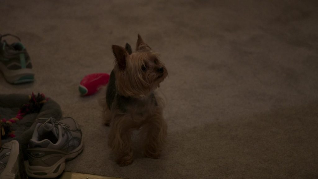 Asics Sneakers in The Rehearsal S02E03 “Pilot's Code” (2025) (Image 2)