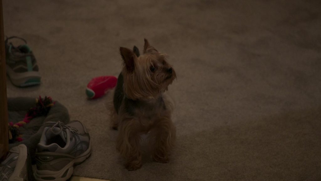 Asics Sneakers in The Rehearsal S02E03 “Pilot's Code” (2025) (Image 3)