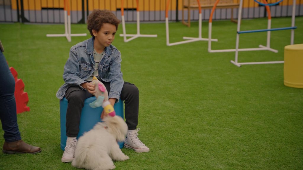 Converse Shoes in Animal Control S04E07 “Donkeys and Weasels” (2026) (Image 1)