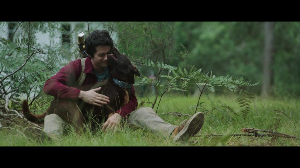 Converse Shoes of Dylan O'Brien as Joel Dawson in Love and Monsters (2020) (Image 1)