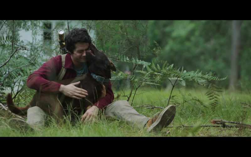 Converse Shoes of Dylan O'Brien as Joel Dawson in Love and Monsters (2020) (Image 1)