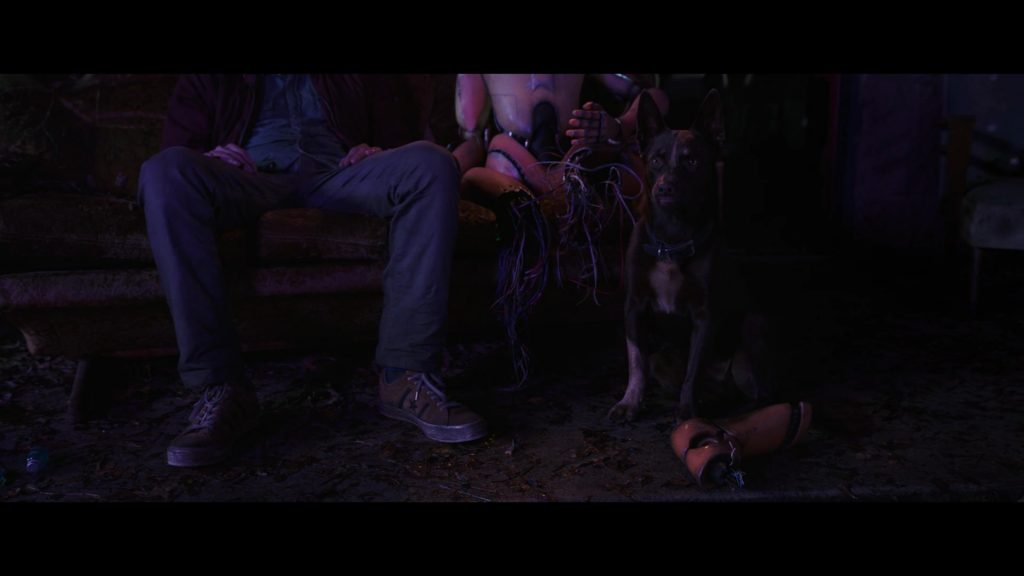 Converse Shoes of Dylan O'Brien as Joel Dawson in Love and Monsters (2020) (Image 4)