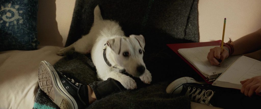 Converse Sneakers Worn by Emily Robinson in Once Upon a Time in Venice (2017) (Image 1)