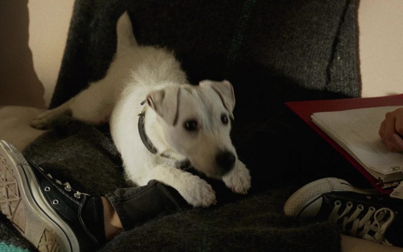 Converse Sneakers Worn by Emily Robinson in Once Upon a Time in Venice (2017) (Image 1)