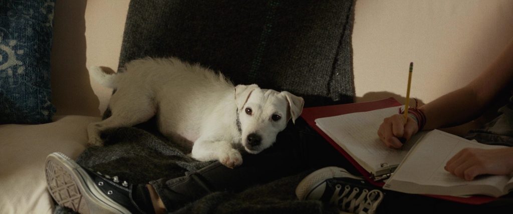 Converse Sneakers Worn by Emily Robinson in Once Upon a Time in Venice (2017) (Image 4)
