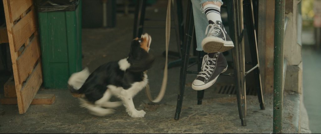 Converse Sneakers Worn by Grant Gustin as Max Stevenson in Puppy Love (2023) (Image 5)