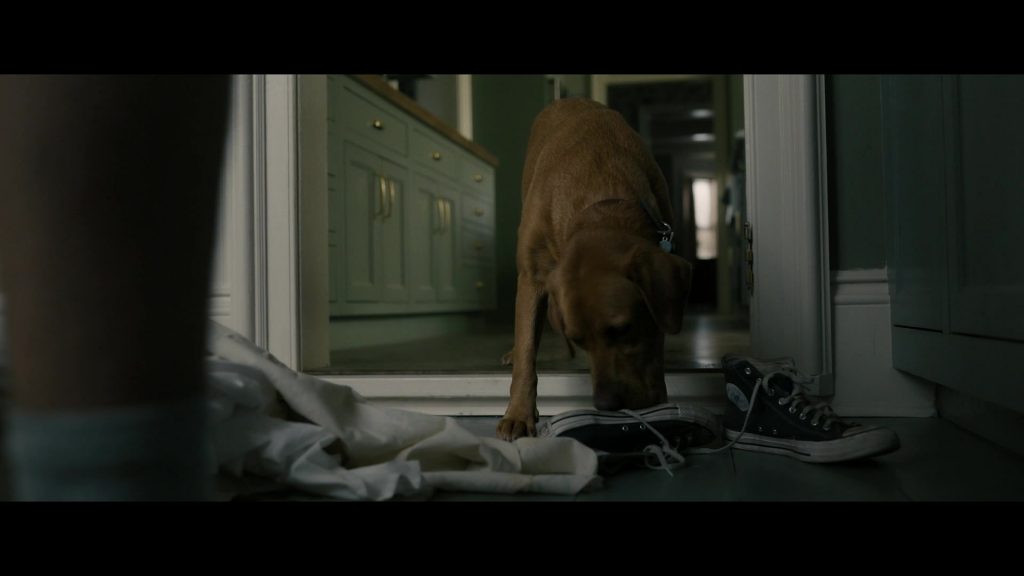 Converse Sneakers in Your Honor S01E01 “Part One” (2020) (Image 1)