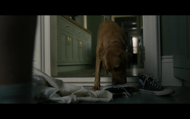 Converse Sneakers in Your Honor S01E01 “Part One” (2020) (Image 1)