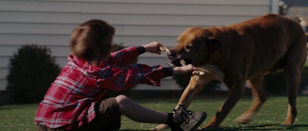 Heelys Sneakers in Evan Almighty (2007) (Image 1)