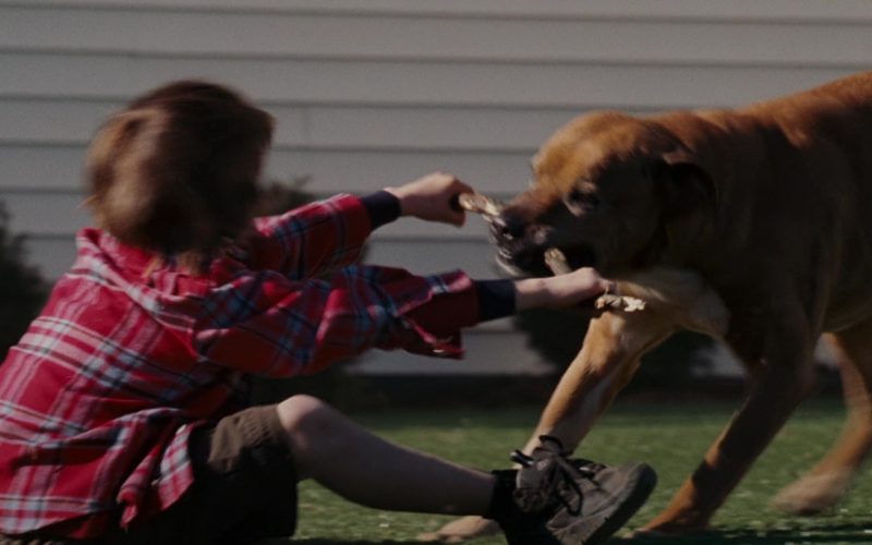 Heelys Sneakers in Evan Almighty (2007) (Image 1)