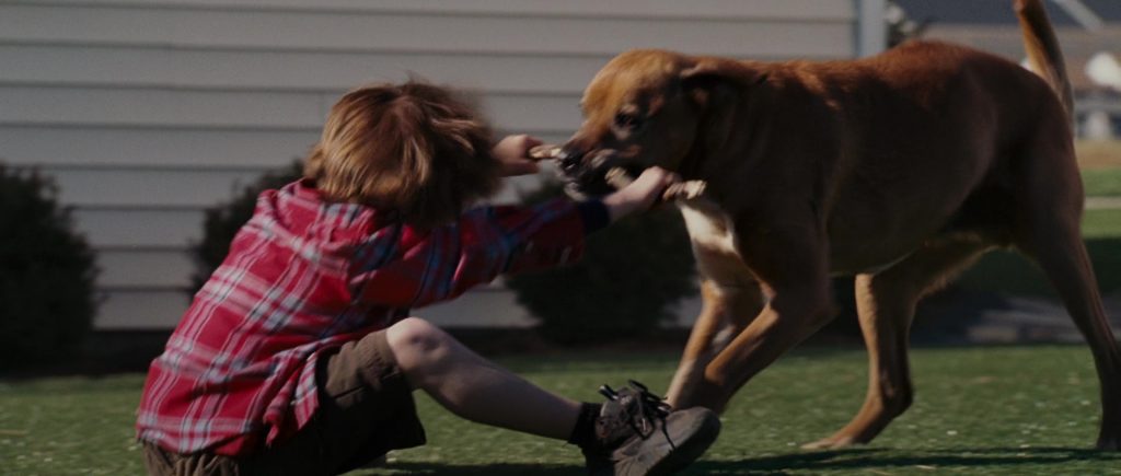 Heelys Sneakers in Evan Almighty (2007) (Image 2)