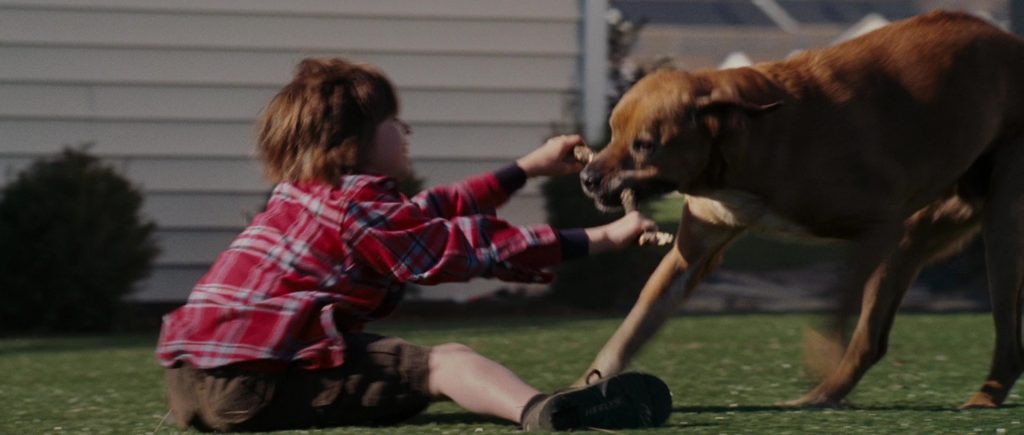Heelys Sneakers in Evan Almighty (2007) (Image 3)