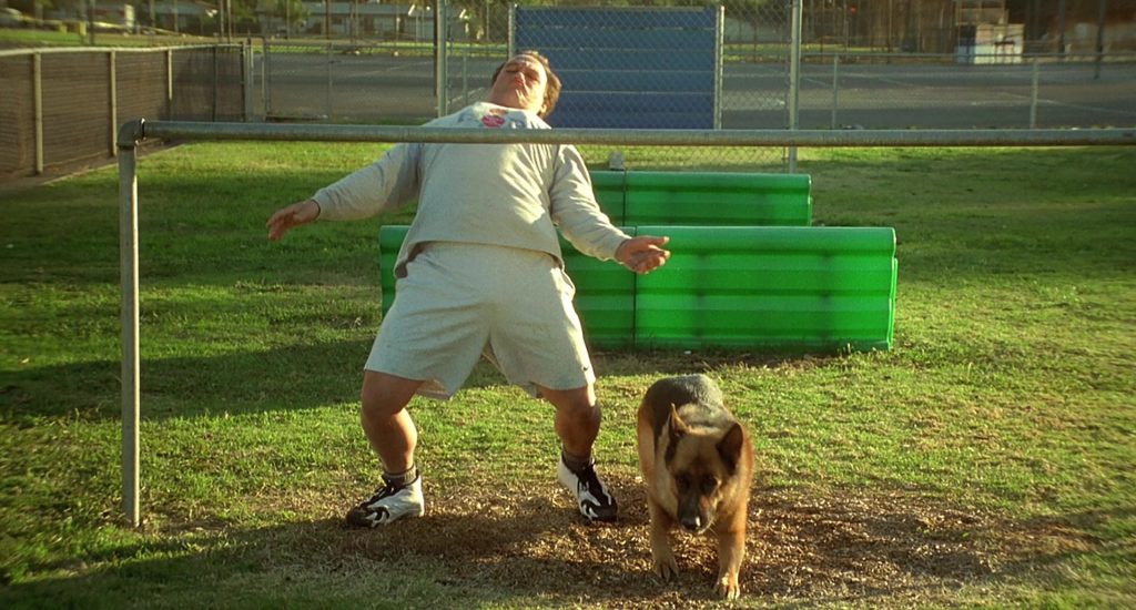 Jordan Sneakers Worn by Jim Belushi in K-911 (1999) (Image 10)