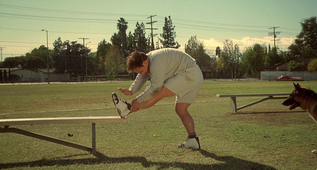 Jordan Sneakers Worn by Jim Belushi in K-911 (1999) (Image 11)