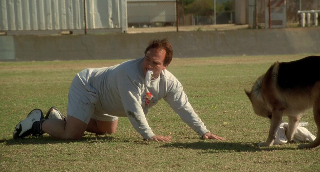 Jordan Sneakers Worn by Jim Belushi in K-911 (1999) (Image 12)