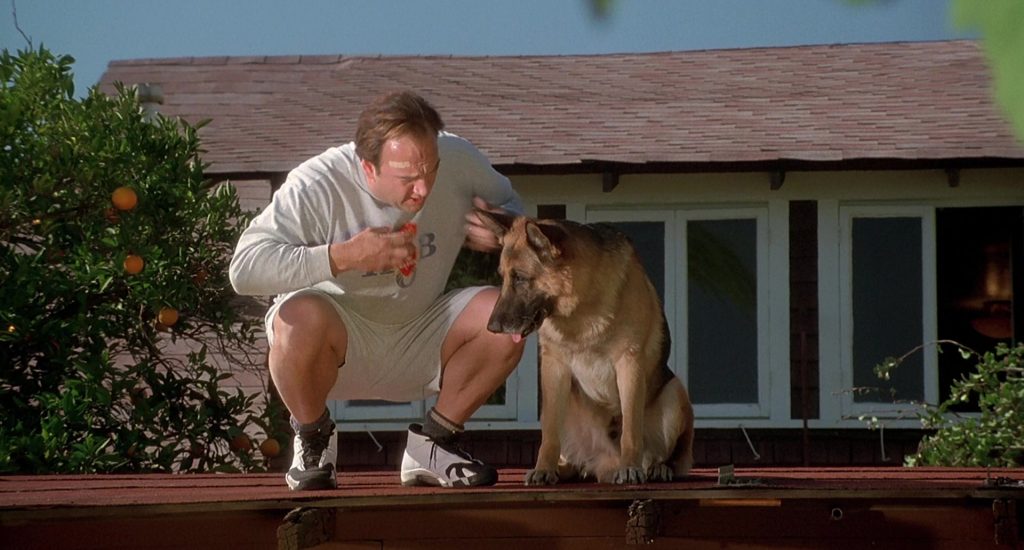 Jordan Sneakers Worn by Jim Belushi in K-911 (1999) (Image 13)