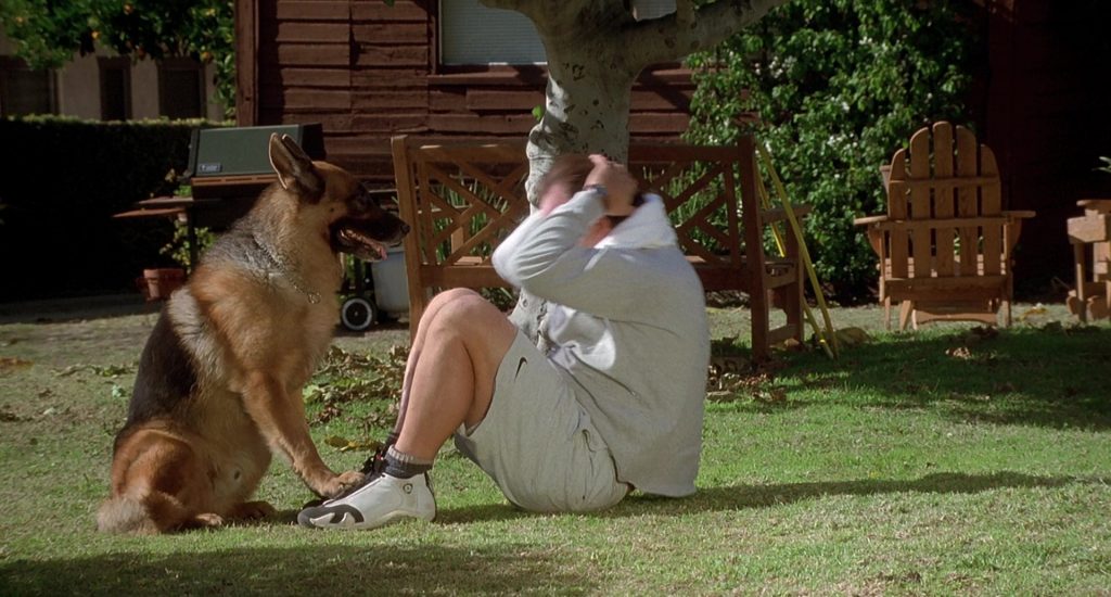 Jordan Sneakers Worn by Jim Belushi in K-911 (1999) (Image 14)