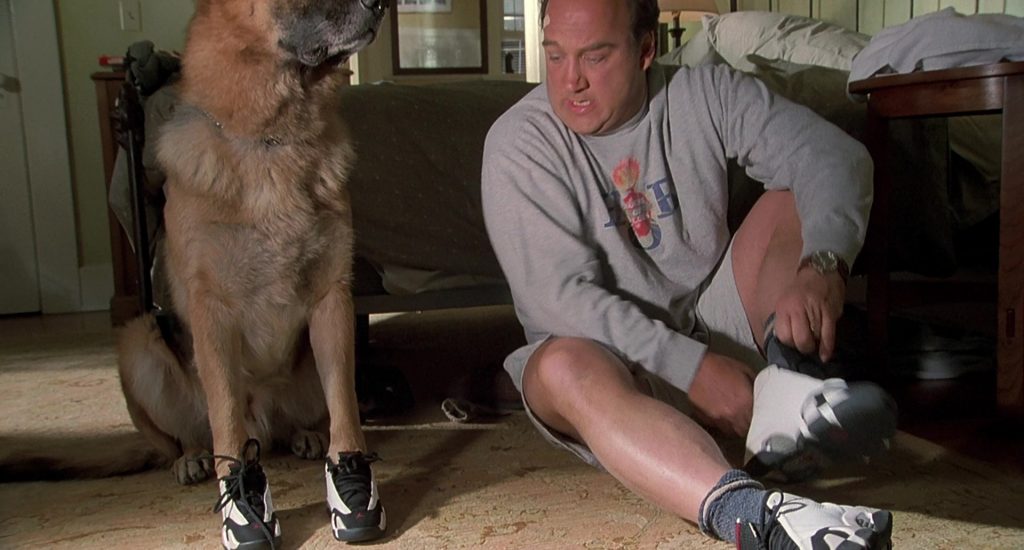 Jordan Sneakers Worn by Jim Belushi in K-911 (1999) (Image 15)