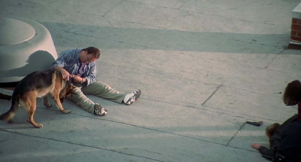 Jordan Sneakers Worn by Jim Belushi in K-911 (1999) (Image 2)