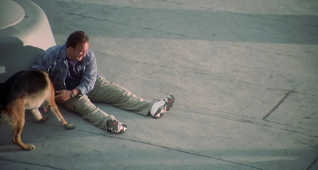 Jordan Sneakers Worn by Jim Belushi in K-911 (1999) (Image 3)