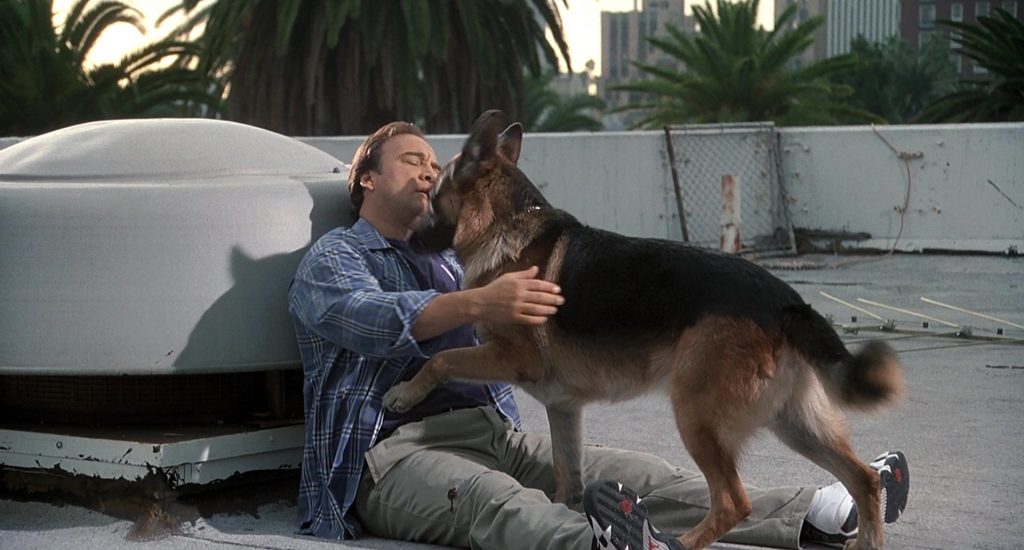 Jordan Sneakers Worn by Jim Belushi in K-911 (1999) (Image 4)