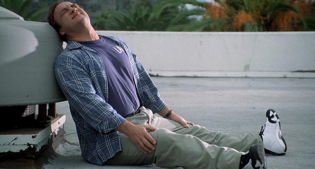 Jordan Sneakers Worn by Jim Belushi in K-911 (1999) (Image 6)