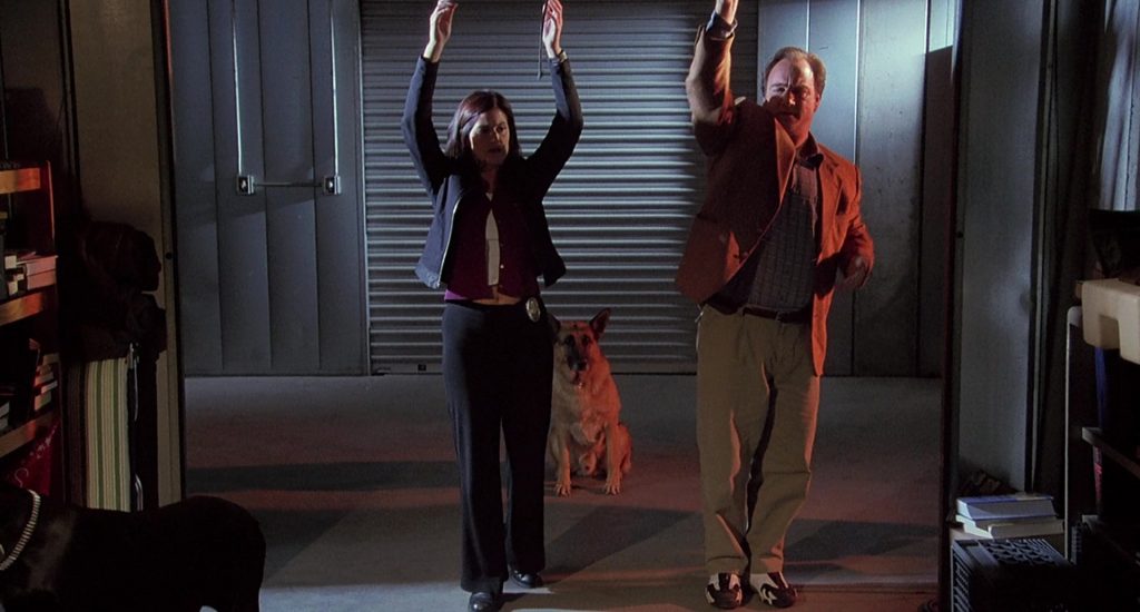 Jordan Sneakers Worn by Jim Belushi in K-911 (1999) (Image 7)