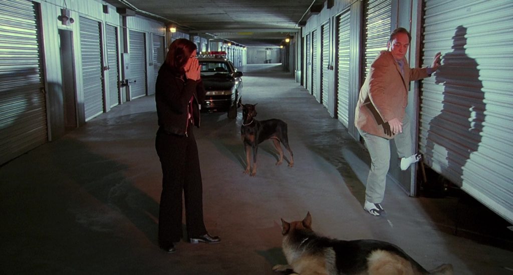 Jordan Sneakers Worn by Jim Belushi in K-911 (1999) (Image 8)