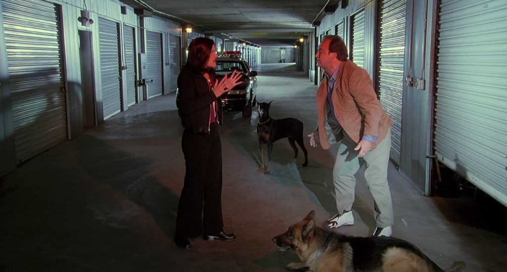 Jordan Sneakers Worn by Jim Belushi in K-911 (1999) (Image 9)