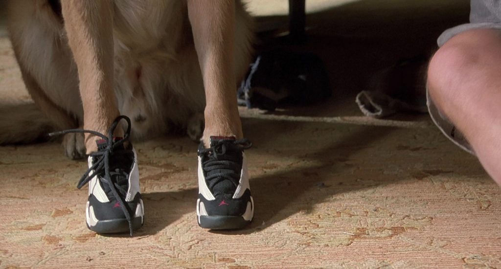 Jordan Sneakers Worn by Mac German Shepherd as Jerry Lee Police Dog in K-911 (1999) (Image 1)