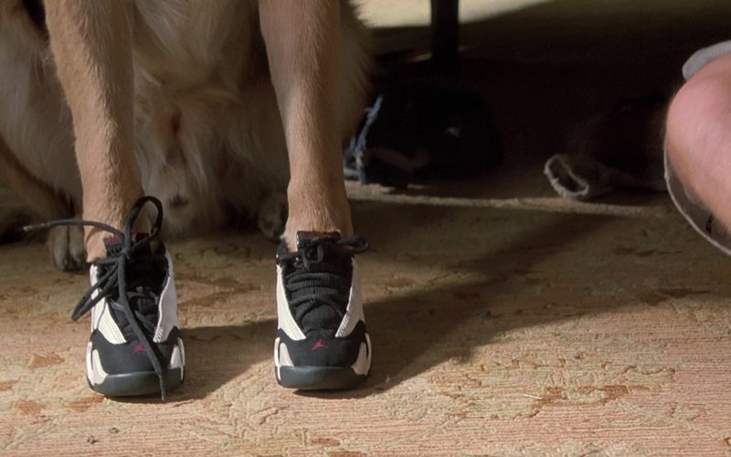 Jordan Sneakers Worn by Mac German Shepherd as Jerry Lee Police Dog in K-911 (1999) (Image 1)