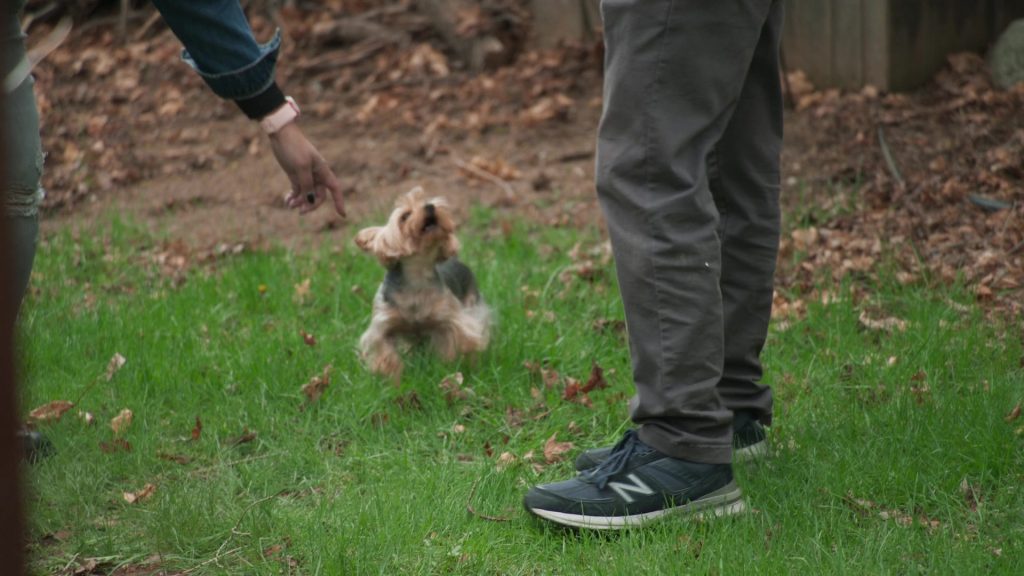 New Balance Shoes in The Rehearsal S02E03 “Pilot's Code” (2025) (Image 2)